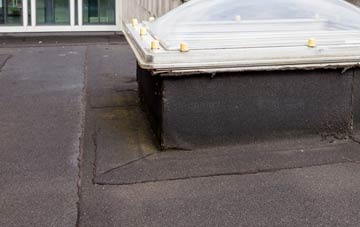 disadvantages of Lower Sketty flat roofs