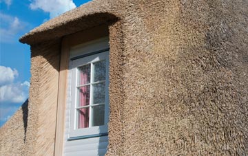 Lower Sketty thatch roof disadvantages